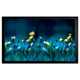 Экран Cactus FrameExpert CS-PSFRE-200X113