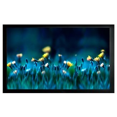 Экран Cactus FrameExpert CS-PSFRE-220X124