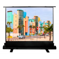 Экран Cactus FloorExpert CS-PSFLE-160X120