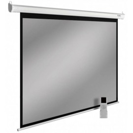 Экран Cactus SIlverMotoExpert CS-PSSME-220X138-DG
