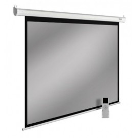Экран Cactus SIlverMotoExpert CS-PSSME-240X150-DG