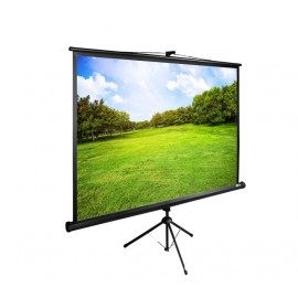 Экран Cactus TriExpert CS-PSTE-180x135-BK