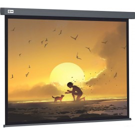 Экран Cactus Wallscreen CS-PSW-124X221-SG