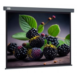 Экран Cactus Wallscreen CS-PSW-127X127-SG