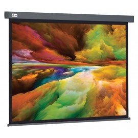 Экран Cactus Wallscreen CS-PSW-152X203-SG