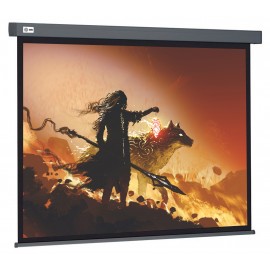Экран Cactus Wallscreen CS-PSW-213X213-SG