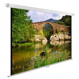 Экран Cactus WallExpert CS-PSWE-220x165-WT