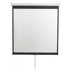 Экран Digis Optimal-D DSOD-4303