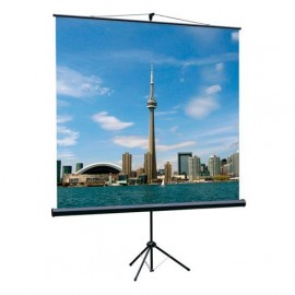Экран Lumien Eco View LEV-100105, 160x160