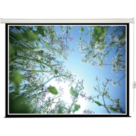 Экран Lumien Eco Control LEC-100104