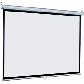 Экран Lumien Eco Picture LEP-100109
