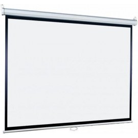 Экран Lumien Eco Picture LEP-100124