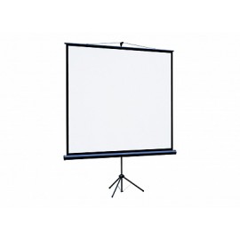 Экран Lumien Eco View LEV-100110