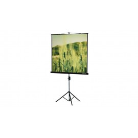 Экран Lumien Master View LMV-100105, 244x244