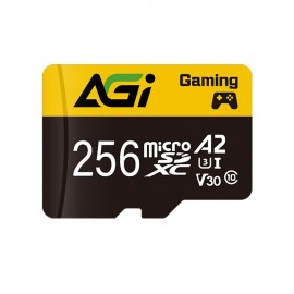 Карта памяти 256Gb AGI AGI256GGSTF138, SD Micro, SDXC Class 10, UHS-I U3, переходник