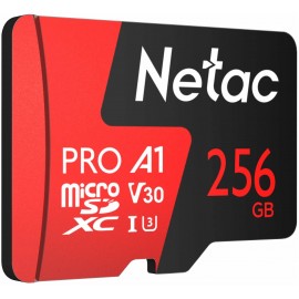 Карта памяти 256Gb Netac P500 Extreme Pro NT02P500PRO-256G-S, SD Micro, SDXC Class 10, UHS-I U3