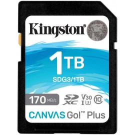 Карта памяти 1Tb Kingston SDG3/1TB, SD, SDXC Class 10, UHS-I U3
