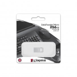256Gb Kingston DataTraveler Micro G2 DTMC3G2/256GB, USB3.2