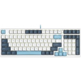 Клавиатура A4Tech Fstyler FS300 Panda Snowboarding, белый-синий