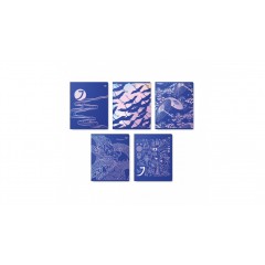 Тетрадь 48л., А5, клетка BG "Синий цвет", Т5ск48 12742