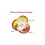 Сменный баллон 250мл AIRWICK Life Scents 